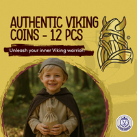Viking Coin Set · 12 pcs · Gold & Silver