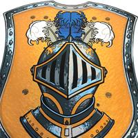Mystery Knight Shield